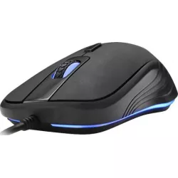 HP MOUSE G100