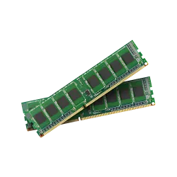 Ram