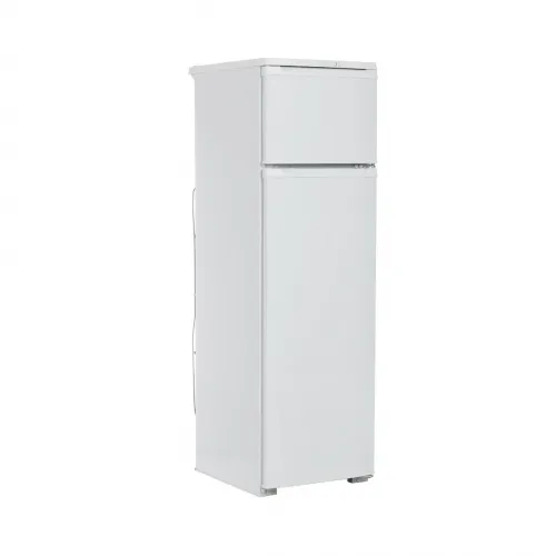 Soyuducu Biryusa 424