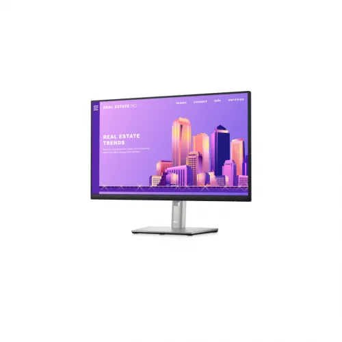Dell P2422H Full HD Monitor