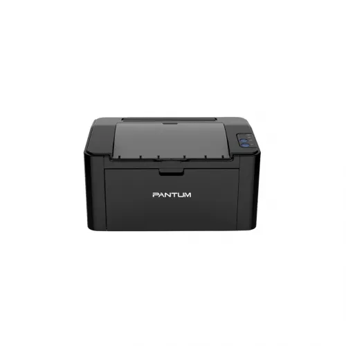 Monoxrom Printer Pantum P2507