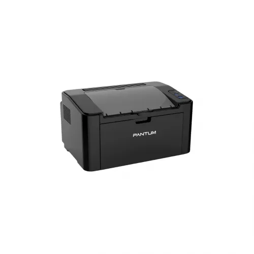 Monoxrom Printer Pantum P2507