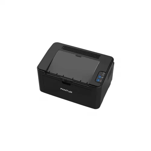 Monoxrom Printer Pantum P2507