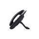 IP Telefon Grandstream GXP2160
